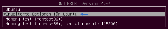 Screenshot von GNU GRUB Version 2.02 - Erweiterte Optionen für Ubuntu